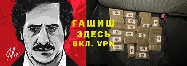 хмурый Алзамай