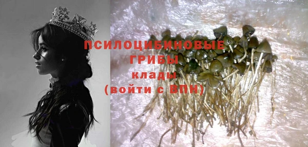ALPHA PVP Алексеевка