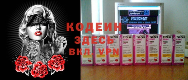 хмурый Алзамай