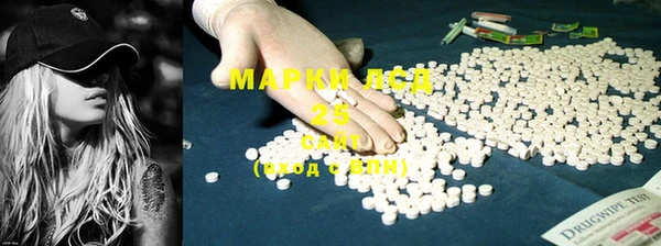 хмурый Алзамай