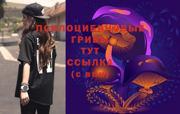 хмурый Алзамай