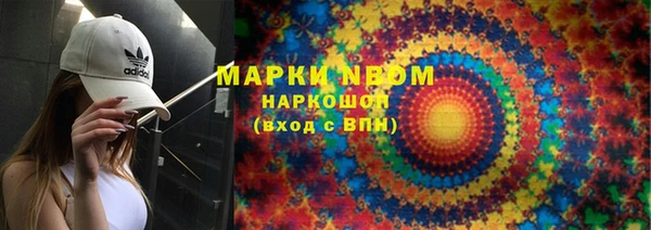 хмурый Алзамай