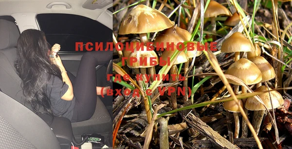 ALPHA PVP Алексеевка